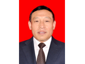 副秘書長張亞平